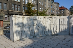 image009