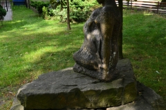 image007