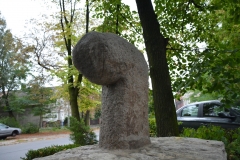 image009