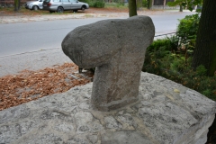 image010