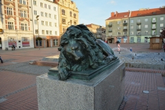 image002