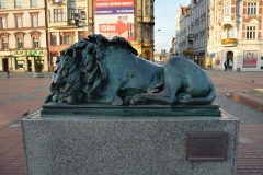 image003