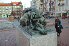 image007