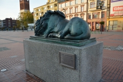 image008