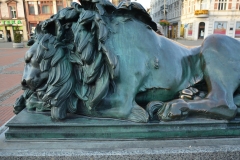 image009