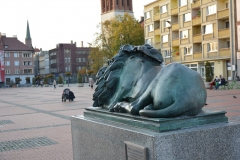 image010