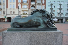 image016