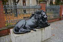 image003
