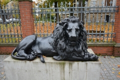 image004