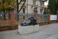 image006