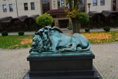 image007