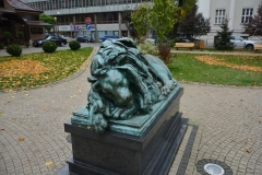 image009