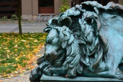 image014
