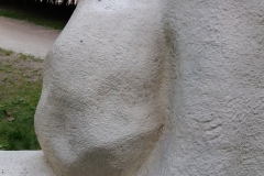 image007