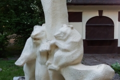 image009