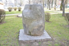 Nowa_Huta_Wodorosty_ZachowajToEu_003