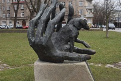 Pies_Dzok_ZACHOWAJTOEU_03