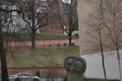 Sowy_ZACHOWAJTOEU_06